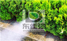 ������ɭ�쾰�����쾰��ɭϵͳ��۹���