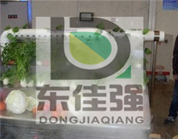 ξ豸